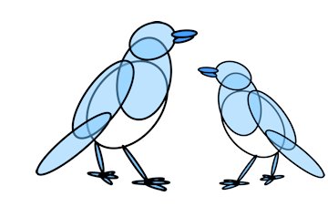 Tuition birds